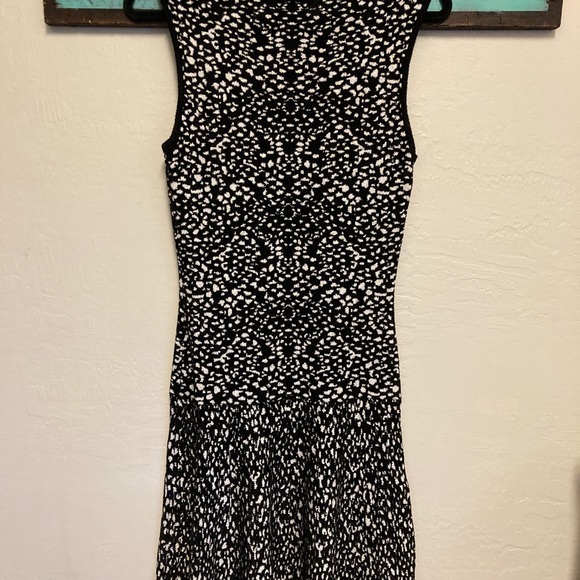 Graham and Spencer Sweater Dress - Picture 4 of 4